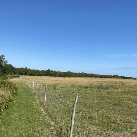 Seaside Serenity At Als Odde-by Traum Prázdninový dům *