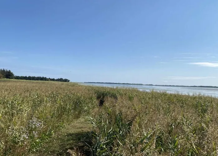 Seaside Serenity At Als Odde-by Traum بيت للعطل Hadsund