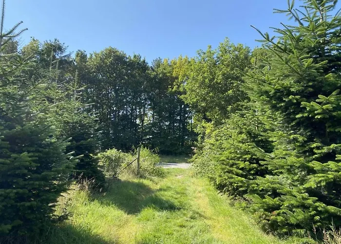 Seaside Serenity At Als Odde-by Traum بيت للعطل Hadsund